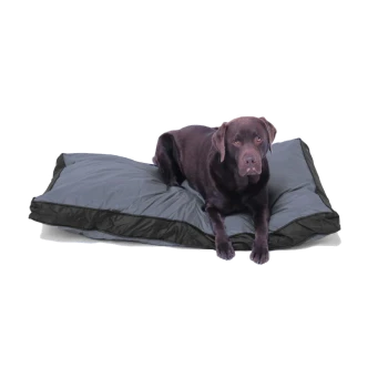 Schokoladenfarbener Labrador liegt auf einem großen, grauen, rechteckigen Hundebett mit schwarzer Einfassung und blickt in die Kamera vor weißem Hintergrund.
