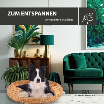 Ein schwarz-weißer Hund entspannt sich in einem gemütlichen Hundebett in einem stilvollen Wohnzimmer mit grüner Dekoration und Pflanzen. Text: 'ZUM ENTSPANNEN.'