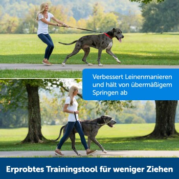 Eine Frau führt einen großen Hund an der Leine in einem Park. Text: "Verbessert die Leinenführung und reduziert übermäßiges Springen."