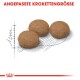 Drei braune Hundefutterkroketten auf einer skizzierten Umrisslinie mit Maßmarkierungen, beschriftet mit "angepasste Krokettengröße" in fettem Rot.
