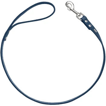 Eine blaue Leder-Hundeleine mit einem silbernen Metallclip, mit einem Schlaufengriff für einfachen Halt.