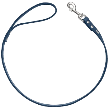 Eine blaue Leder-Hundeleine mit einem silbernen Metallclip, mit einem Schlaufengriff für einfachen Halt.