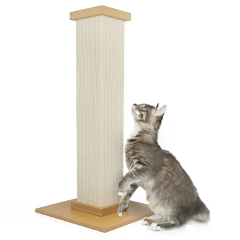 Kratzsäule KENNY Eine graue getigerte Katze steht auf ihren Hinterbeinen und greift nach einem hohen, beigen Kratzbaum mit einem Holzsockel.