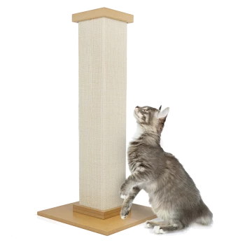 Eine graue getigerte Katze steht auf ihren Hinterbeinen und greift nach einem hohen, beigen Kratzbaum mit einem Holzsockel.