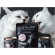 Zwei weiße Katzen, die verspielt mit einem Paket "CAT'S LOVE JUNIOR" Katzenfutter interagieren, das ein Kätzchen auf der Vorderseite zeigt.