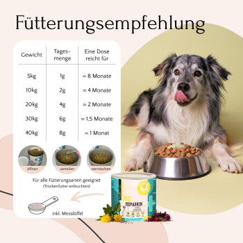 Behälter des Hepaskin-Tierergänzungsmittels mit Text, der natürliche Unterstützung für Haut, Fell und Lebergesundheit bei Hunden beschreibt.