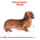 Illustration d'un chien teckel avec un long corps et des pattes courtes, étiqueté "TYPE DE RACE : TECKEL" en texte rouge gras.