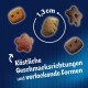 Vielfalt an bunten Haustierleckereien, Größe 1,3 cm, mit Text: "Köstliche Geschmacksrichtungen und verlockende Formen."