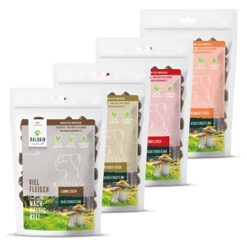 Mix Paket 2 Snacks Lamm, Pferd, Wild Huhn Vier Tüten natürlicher Hundesnacks von der Marke BÄLDÜN, mit verschiedenen Geschmacksrichtungen: Pferd, Lamm, Rind und Huhn, mit umweltfreundlichen Etiketten.