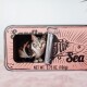 Eine neugierige getigerte Katze, die aus einer vintage-stil pinken Dose mit der Aufschrift "Sardinen aus dem Meer" schaut, mit einem Nettogewicht von 3,75 oz. (106g).