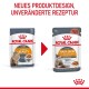 Bild von zwei Royal Canin Katzenfutterbeuteln: "Intense Beauty" links, "Hair & Skin" rechts, mit einem neuen Design bei gleicher Rezeptur.