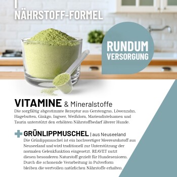 Packung "REAVET Senior Complete" Hundefutter (250g) mit einem Golden Retriever, hebt Zutaten und Unterstützung für die Gesundheit älterer Hunde hervor.