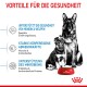 Deutscher Schäferhund neben einer roten Royal Canin Schüssel. Der Text betont die gesundheitlichen Vorteile für Hunde und Welpen, einschließlich Unterstützung des Immunsystems und Verdauungshilfe.