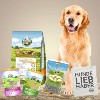 Ein Golden Retriever sitzt neben BELLIOR-Haustierprodukten: Hundefutter, Nahrungsergänzungsmittel, Leckerlis und einer Tragetasche mit der Aufschrift "HUNDE LIEB HABER."