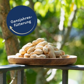 Eine Holzschüssel gefüllt mit rohen Erdnüssen auf einer Holzoberfläche, mit einem Abzeichen, das "Bewährte Qualität seit über 10 Jahren" und "Best Quality" liest.