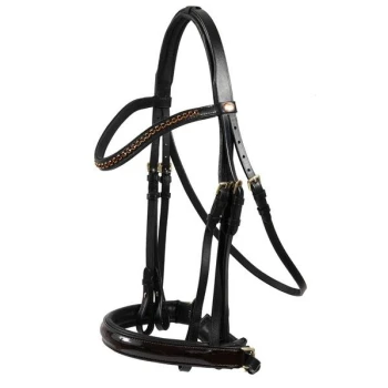 Schwarzes Lederpferdegeschirr mit dekorativer Naht und verstellbaren Riemen, vor einem weißen Hintergrund präsentiert.