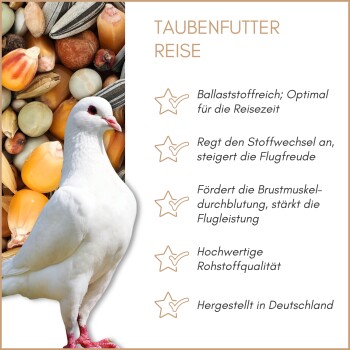 Weißtaube vor Mischsaat mit Text, der die Vorteile von „Taubenfutter Reise“ Taubenfutter auf Deutsch aufzählt.