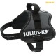 Schwarzes Julius-K9 Hundegeschirr mit verstellbaren Riemen und einer stabilen Schnalle, mit dem Logo "JULIUS-K9 IDC® POWER."
