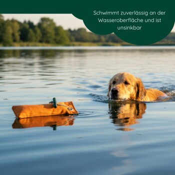 Oranger Canvas-Hundetrainingsdummy mit grünem Seil und grünem Griff, beschriftet mit "Romney's" vor schwarzem Hintergrund.