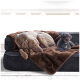 Ein großer grauer Hund und ein kleiner schwarzer Pudel ruhen sich auf einer Couch aus, die mit einer braunen Decke bedeckt ist, in einer gemütlichen Innenumgebung.