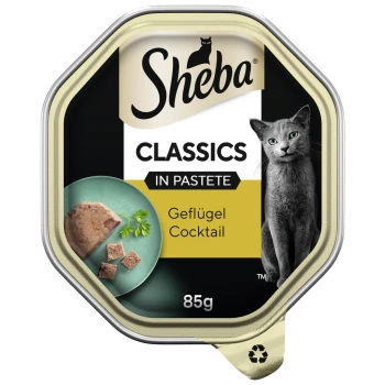 Sheba Classics Katzenfutter in Pastete, Geschmacksrichtung Geflügel Cocktail, 85g Verpackung mit einer grauen Katze und einem Teller mit Pastetestücken.