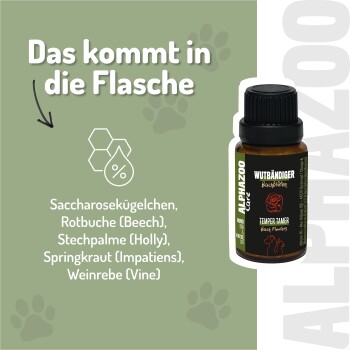 Eine hellfarbige Katze, die mit ihrer Pfote nach oben greift, neben einer Flasche und weißen Kügelchen auf einer dunklen Oberfläche, mit Text in Deutsch über Dosierungsanweisungen.