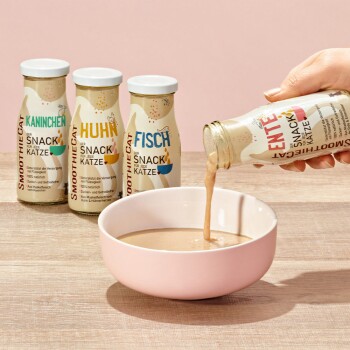 Hand gießt SmoothieCat Enten-Geschmack flüssigen Katzensnack in eine rosa Schüssel, mit Kaninchen-, Huhn- und Fischgeschmack in Flaschen.