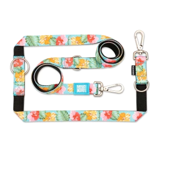 Haustierleine mit Blumenmuster, Metallclips und Ringen, mit den Anhängern "Max & Molly" und "Urban Pets".