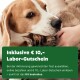 Ein Beagle kuschelt mit einer Katze, mit einem grünen Banner darunter, das einen Gutschein über 10 € für ein kostenloses Set anbietet.