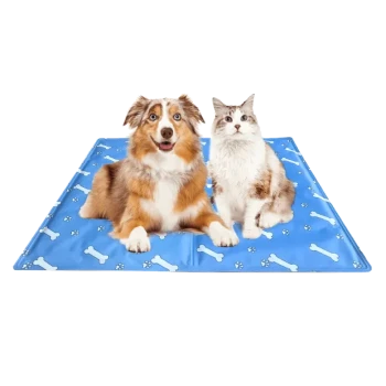 Ein Hund und eine Katze sitzen auf einer blauen Tiermatte, die mit weißen Knochenmustern dekoriert ist. Der Hund ist braun und weiß, während die Katze grau und weiß ist.