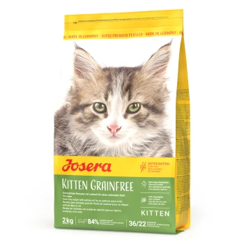 Nahaufnahme des Gesichts eines Kätzchens auf einem Sack Josera Grainfree Katzenfutter, das "Getreidefrei", "Optimales Wachstum" und "Anti-Haarball" betont.