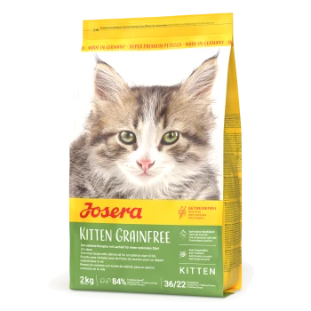 Nahaufnahme des Gesichts eines Kätzchens auf einem Sack Josera Grainfree Katzenfutter, das "Getreidefrei", "Optimales Wachstum" und "Anti-Haarball" betont.