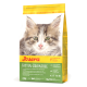 Nahaufnahme des Gesichts eines Kätzchens auf einem Sack Josera Grainfree Katzenfutter, das "Getreidefrei", "Optimales Wachstum" und "Anti-Haarball" betont.
