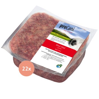 Rind Vital 22x500 g