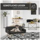 Ein glücklicher Hund, der auf einem stilvollen schwarzen Haustiersofa in einem modernen Wohnzimmer entspannt, mit dem Text "GEMÜTLICHES LIEGEN schafft ein gemütliches Ambiente" darüber.