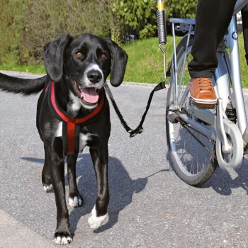 Hund Fahrrad Anhänger Outdoor Reiten Dual-zweck Camping Gepäck Anhänger  Faltbare Pet Warenkorb Hund Träger Haustier
