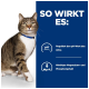 Eine getigerte Katze mit einem blauen Halsband ist links; rechts ist deutscher Text über Urin-pH und niedrigem Magnesium/Phosphor.