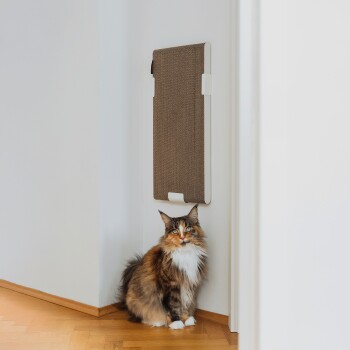 Eine flauschige dreifarbige Katze sitzt neben einem wandmontierten Kratzbrett in einem modernen Innenraum und zeigt ihr lebhaftes Fell und ihren neugierigen Ausdruck.