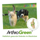 Ein verspieltes Kätzchen und ein Welpe auf grünem Gras, mit dem Text "ArthroGreen" und "JUNIOR" darüber, der gesunde Gelenke für wachsende Haustiere fördert.