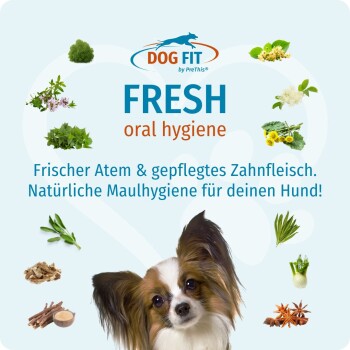 Werbung für DOG FIT FRESH Mundhygiene mit Kopf eines Papillon und Kräutern, deutscher Text: 'Frischer Atem & gepflegtes Zahnfleisch.'