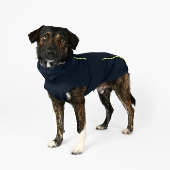 Illustration eines Hundes mit einem Maßband um seinen Rücken, begleitet von Anweisungen auf Deutsch, wie man die Rückenlänge des Hundes misst.