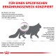 Infografik zur Nierenernährung von Katzen, mit einer Katzensilhouette, Nierenillustration und deutschem Text zu Symptomen und Ernährungsbedürfnissen.
