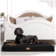 Ein schwarzer Dobermann ruht auf einem stilvollen schwarzen Hundebett in einem gemütlichen Raum mit einem gepolsterten beigen Kopfteil und dekorativen Blumen in der Nähe.
