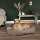 Ein Golden Retriever ruht sich bequem auf einem plüschigen braunen Hundebett in einem stilvollen Raum mit grünen Wänden, einem Holztisch und dekorativen Pflanzen aus.