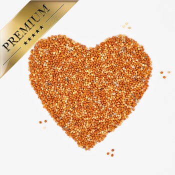 Herzförmige Anordnung kleiner orange und gelber Samen auf weißem Hintergrund, mit einem goldenen Banner "PREMIUM" in der oberen linken Ecke.
