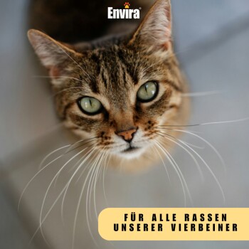 Eine Nahaufnahme einer getigerten Katze mit auffälligen grünen Augen, mit dem Text "Für alle Rassen unserer Vierbeiner" am unteren Rand.