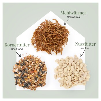 Drei Futterhäufchen: Mehlwürmer; Körnerfutter; Nussfutter (Mehlwürmer, Saatmischung, Erdnüsse).