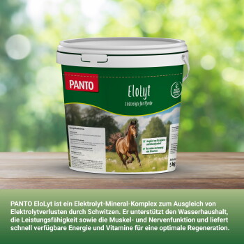 Grüner PANTO EloLyt 5-kg-Eimer Pferde-Elektrolyte mit Bild eines galoppierenden Pferdes und deutscher Beschriftung.