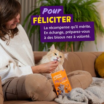 Chat orange et blanc se faisant donner des friandises à la main sur un canapé ; texte violet 'Pour FÉLICITER' ; le sac montre 'edgard cooper PILLOWS'.