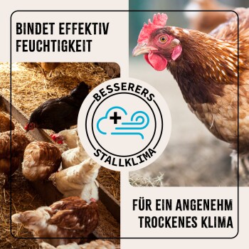Hühner in einem strohbedeckten Stall mit Text, der eine effektive Feuchtigkeitsbindung für ein angenehmes, trockenes Klima fördert.